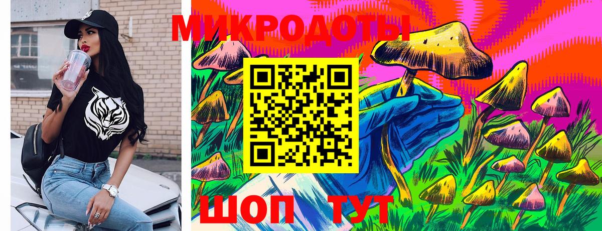 Псилоцибиновые грибы мицелий  наркошоп  Вход с VPN  Калининград  Галлюциногенные грибы Psilocybine cubensis 