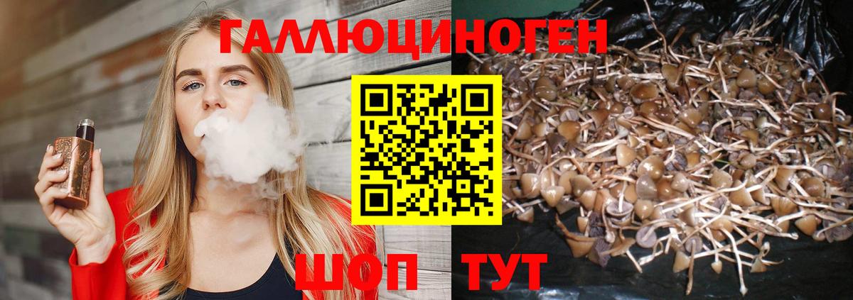 Псилоцибиновые грибы прущие грибы Калининград